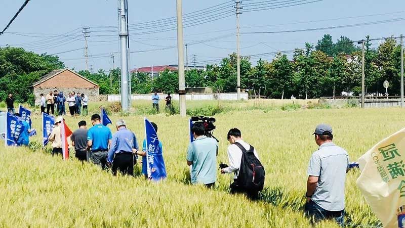 520健康植保日——擁抱綠色農業,我們在行動