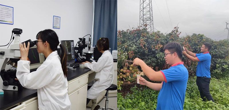 打造新朝陽(yáng)生物科技“五張名片”,服務(wù)農(nóng)業(yè)高質(zhì)量發(fā)展!